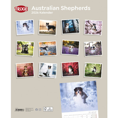 TRIXIE 2026 Kalender Australian Shepherd