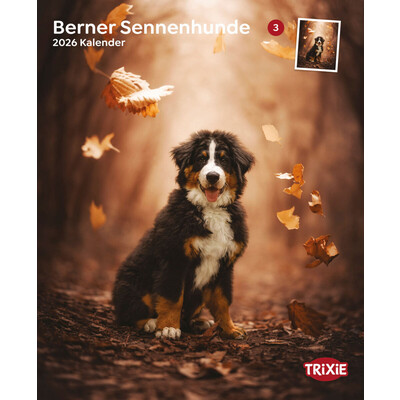TRIXIE 2026 Kalender Berner Sennenhund