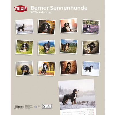 TRIXIE 2026 Kalender Berner Sennenhund