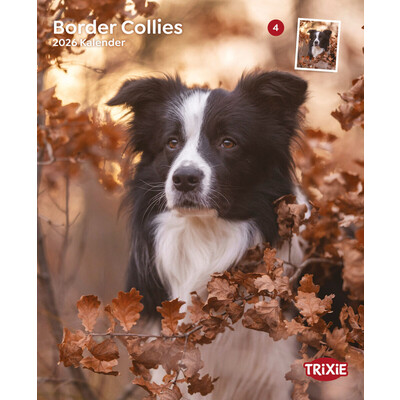 TRIXIE 2026 Kalender Border Collies