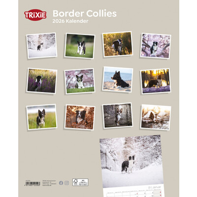 TRIXIE 2026 Kalender Border Collies