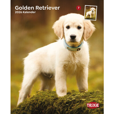 TRIXIE 2026 Kalender Golden Retriever