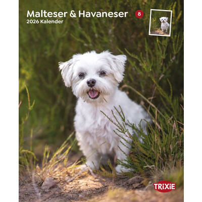 TRIXIE 2026 Kalender Malteser/Havaneser