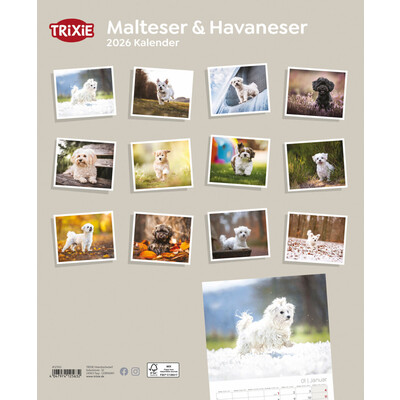 TRIXIE 2026 Kalender Malteser/Havaneser