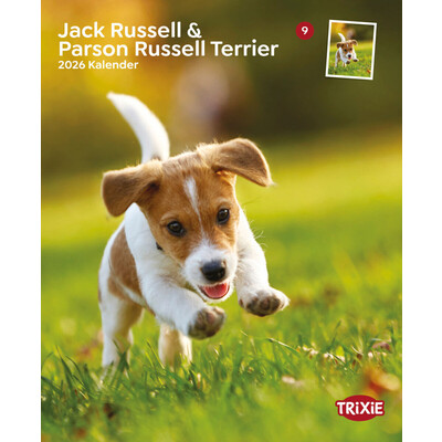 TRIXIE 2026 Kalender Jack Russell & Parson Russell Terrier