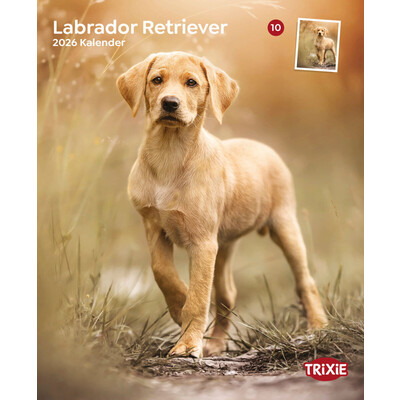 TRIXIE 2026 Hundekalender Labrador Retriever