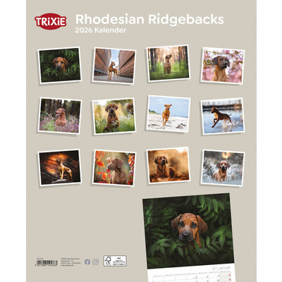 TRIXIE 2026 Kalender Rhodesian Ridgebacks