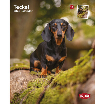 TRIXIE 2026 Kalender Teckel Dackel