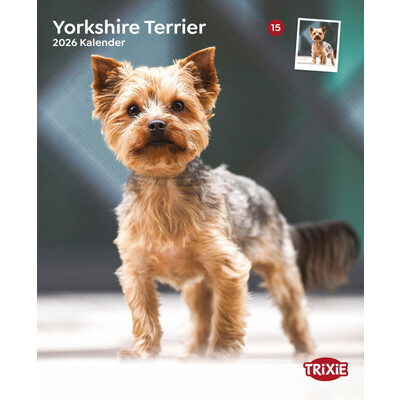 TRIXIE 2026 Kalender Yorkshire Terrier