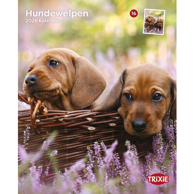 TRIXIE 2026 Kalender Hundewelpen