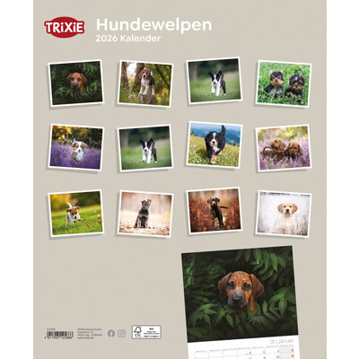 TRIXIE 2026 Kalender Hundewelpen
