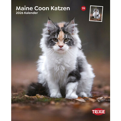 TRIXIE 2026 Kalender Maine Coon Katzen