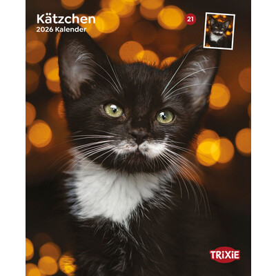 TRIXIE 2026 Kalender Kätzchen