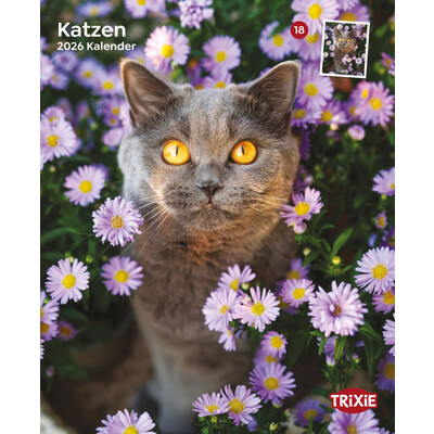 TRIXIE 2026 Kalender Katzen