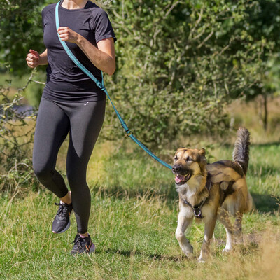 TRIXIE  Hunde Joggingleine mit Ruckdämpfer
