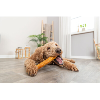 TRIXIE Denta Fun Roll aus Kollagen, 20 cm
