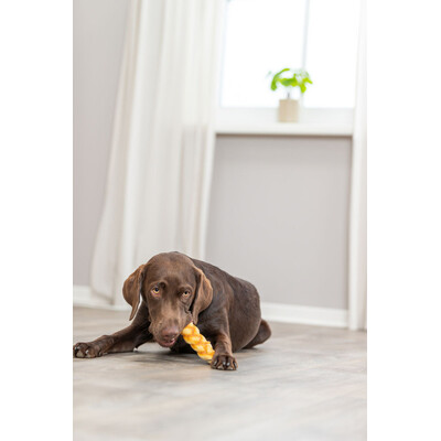 TRIXIE Denta Fun Braid aus Kollagen, 13 cm