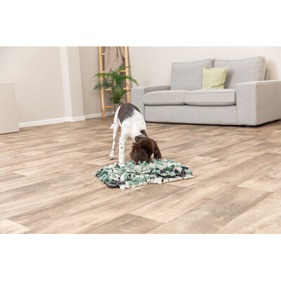 TRIXIE Dog Activity Schnüffelteppich Hundestrategiespiel