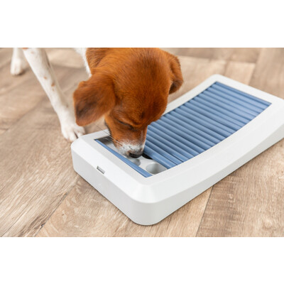 TRIXIE Dog Activity Stäbchenspiel Rod Board aus Kunststoff für Hunde