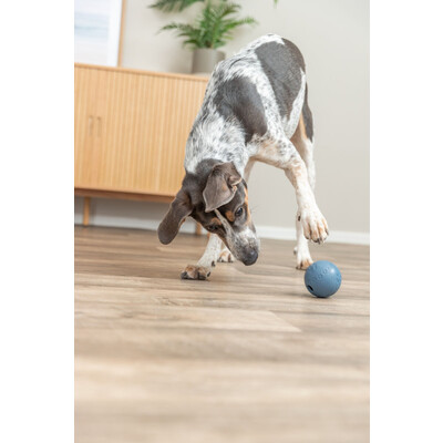 TRIXIE Labyrinth-Snacky Hunde Snackball