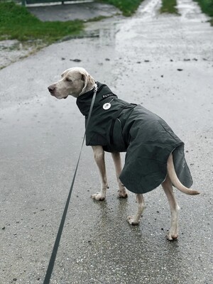 Impressionen zu PAIKKA Hochreflektierender Hundewintermantel, Bild 2