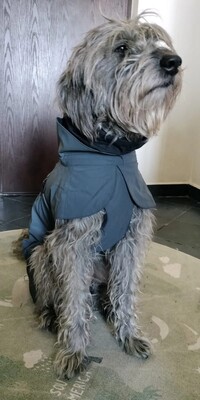 Impressionen zu PAIKKA Visibility Hunderegenmantel Lite, Bild 11