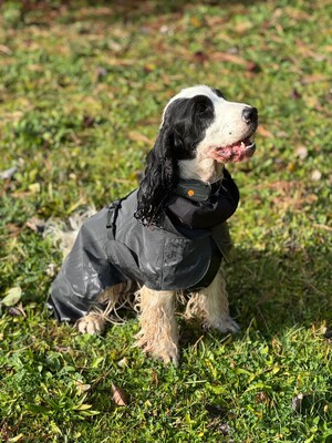 Impressionen zu PAIKKA Visibility Hunderegenmantel Lite, Bild 16