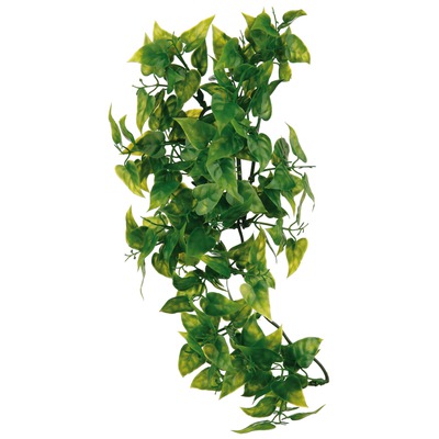Terrarium Kunststoff Hängepflanze, Phyllo