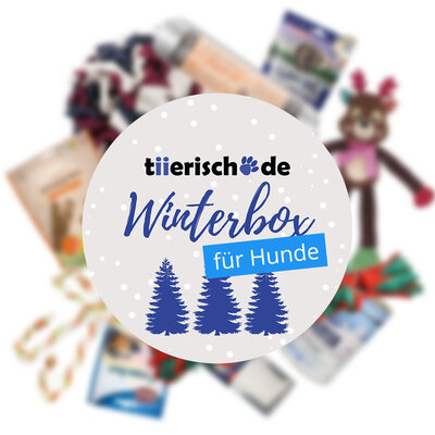 Winterbox für Hunde