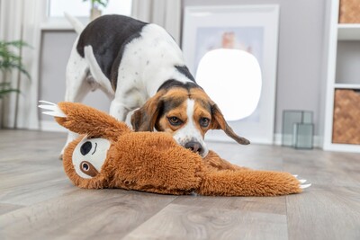 Impressionen zu TRIXIE Faultier aus Plüsch, Bild 2