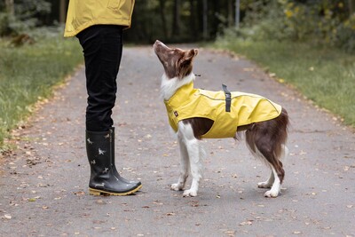 Impressionen zu TRIXIE Hunde Regenmantel Vimy mit Bauchschutz, Bild 2