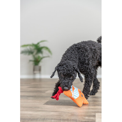 TRIXIE Seestern mit Seil Zerrspielzeug für Hunde & Katzen | tiierisch.de