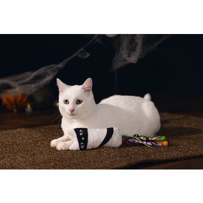 Beeztees 2025 Halloween Mumie Spielzeug für Katzen