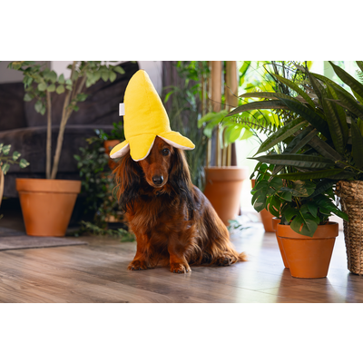 Beeztees 2 in 1 Plüschspielzeug Dschungel Biba für Hunde