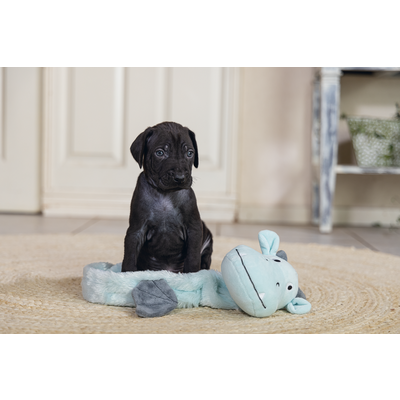 Beeztees Puppy Welpen Spielzeug Flatino Drache Yi Preview Image