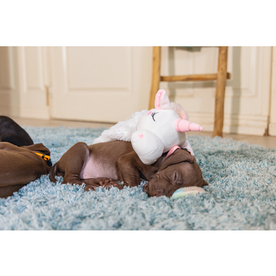 Beeztees Puppy Welpen Spielzeug Flatino Einhorn Preview Image
