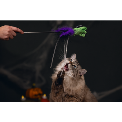 Beeztees 2025 Halloween Katzenangel Freaky