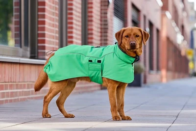 Impressionen zu Wolters Cape Adventure Hundemantel, Winterjacke für Hunde, Bild 1