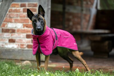 Impressionen zu Wolters Cape Drizzle Ganzjahresmantel für Hunde, Bild 2