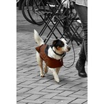 futternapf keramik D&D Hundenapf Jasper  Sand  Doodle-Essentials  Doodle-essentials.nl
