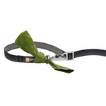 Switchbak Hundeleine zum Umhngen | Ruffwear | tiierisch.de