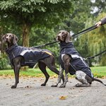 Wolters Outdoorjacke Für Hunde Xtra Strong, Schwarz/grau Mit Neon-grün