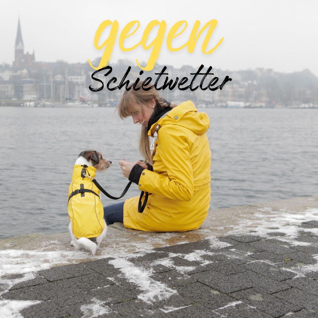 Regenmäntel für Hunde