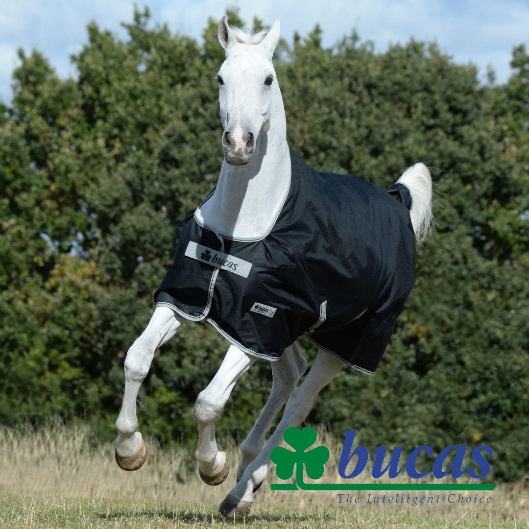 Bucas Pferdedecken