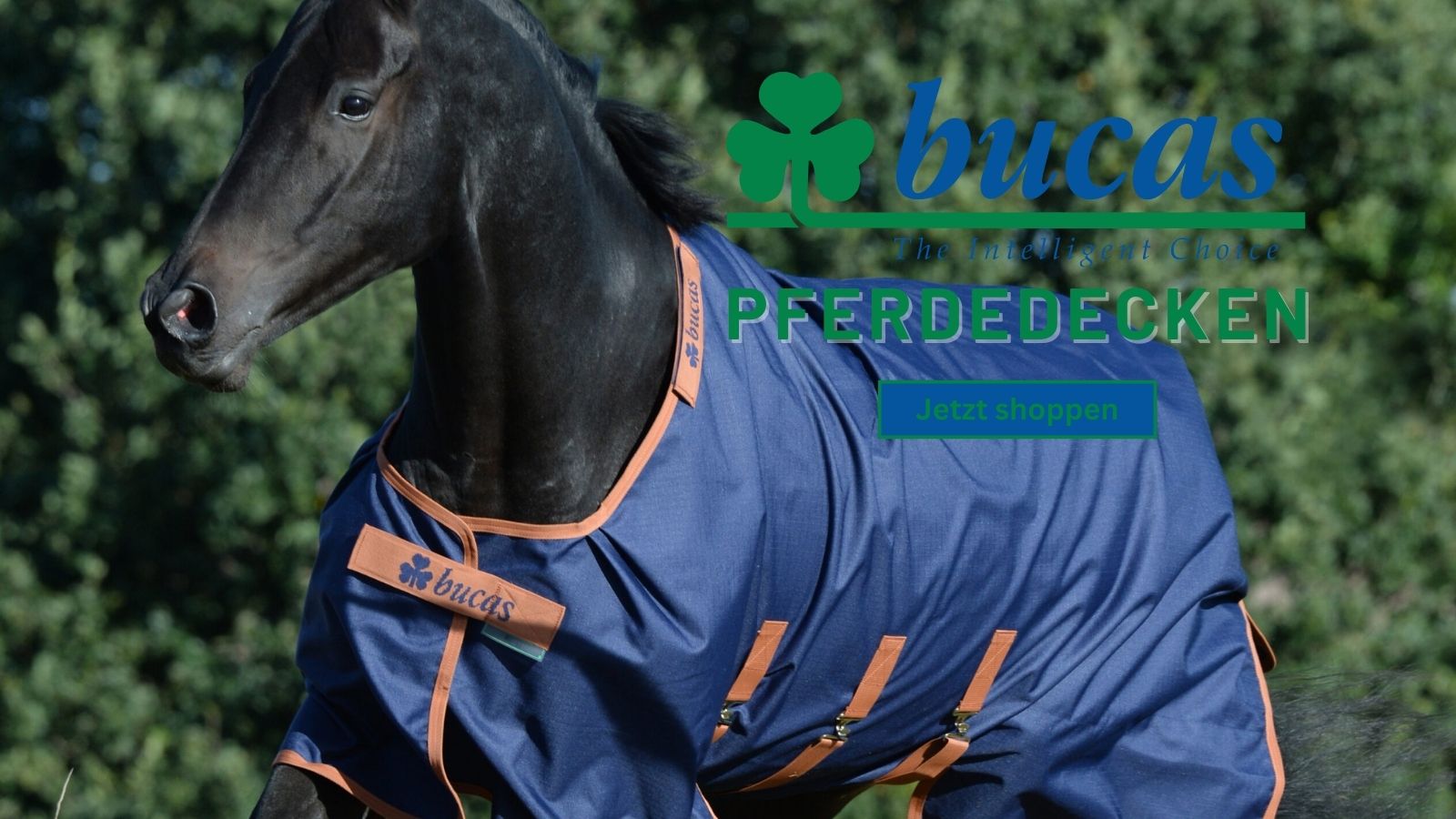 BUCAS Pferdedecken
              