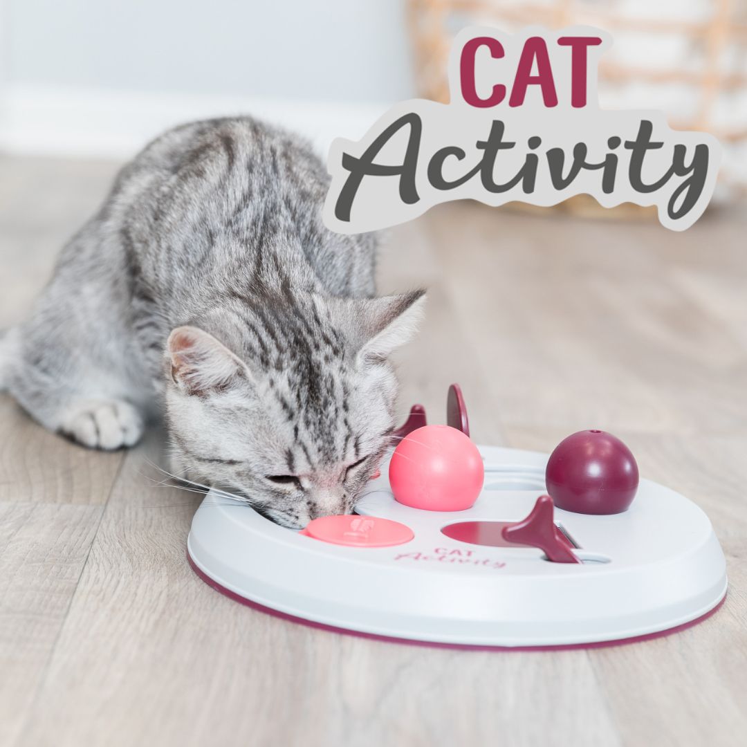 Strategiespiele für Katzen