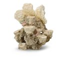 Aqua Della Coral Reef Korallenriff Basis M-L, 21x18x31cm, für 6 Corals