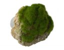 Aqua Della Moss Stone Stein mit Moos S ca.12x9,5x10,5cm
