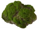 Aqua Della Moss Stone Stein mit Moos L ca.17x11x13,5cm