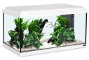 Aquatlantis Advance 60 LED Aquarium 60x30x34cm, 54L, weiß